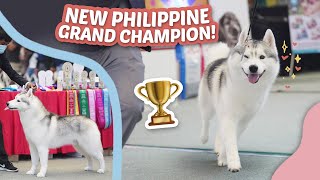 FINALLY Grand Champion na si Henri natin!