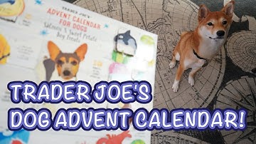 Advent Calendar for Dogs | Every Day of the 2020 Trader Joe
