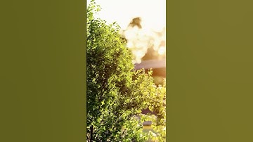 Lumion landscape video render animation