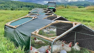 Most Efficient Chicken Tractor for Raising Meat Birds