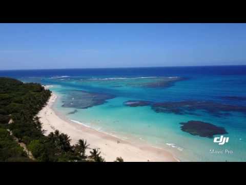 Videó: Culebra strandjai, Puerto Rico