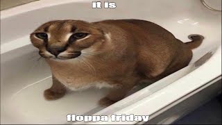 floppa friday