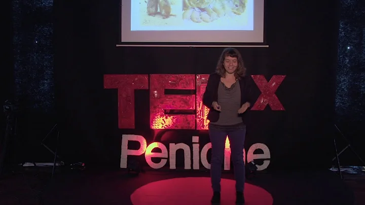 Can we upgrade our social brain software"? | Diana Prata | TEDxPeniche