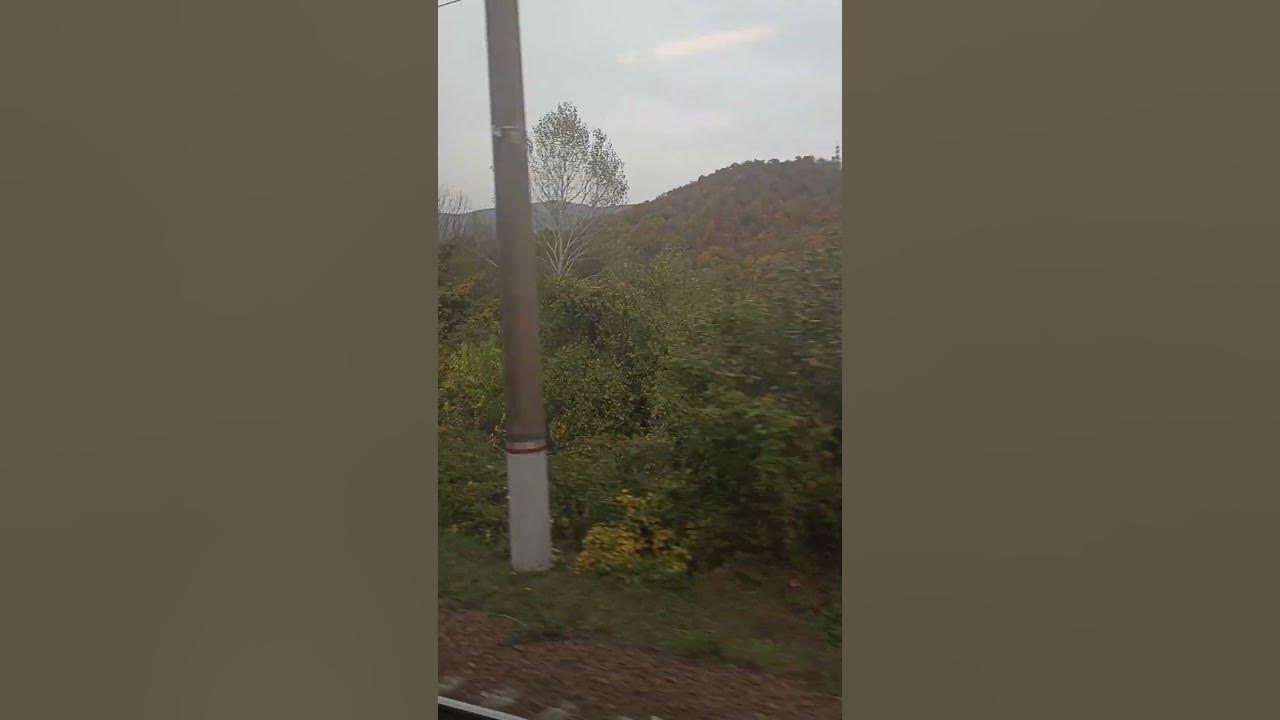 Поездка в Геленджик на соревнования - YouTube