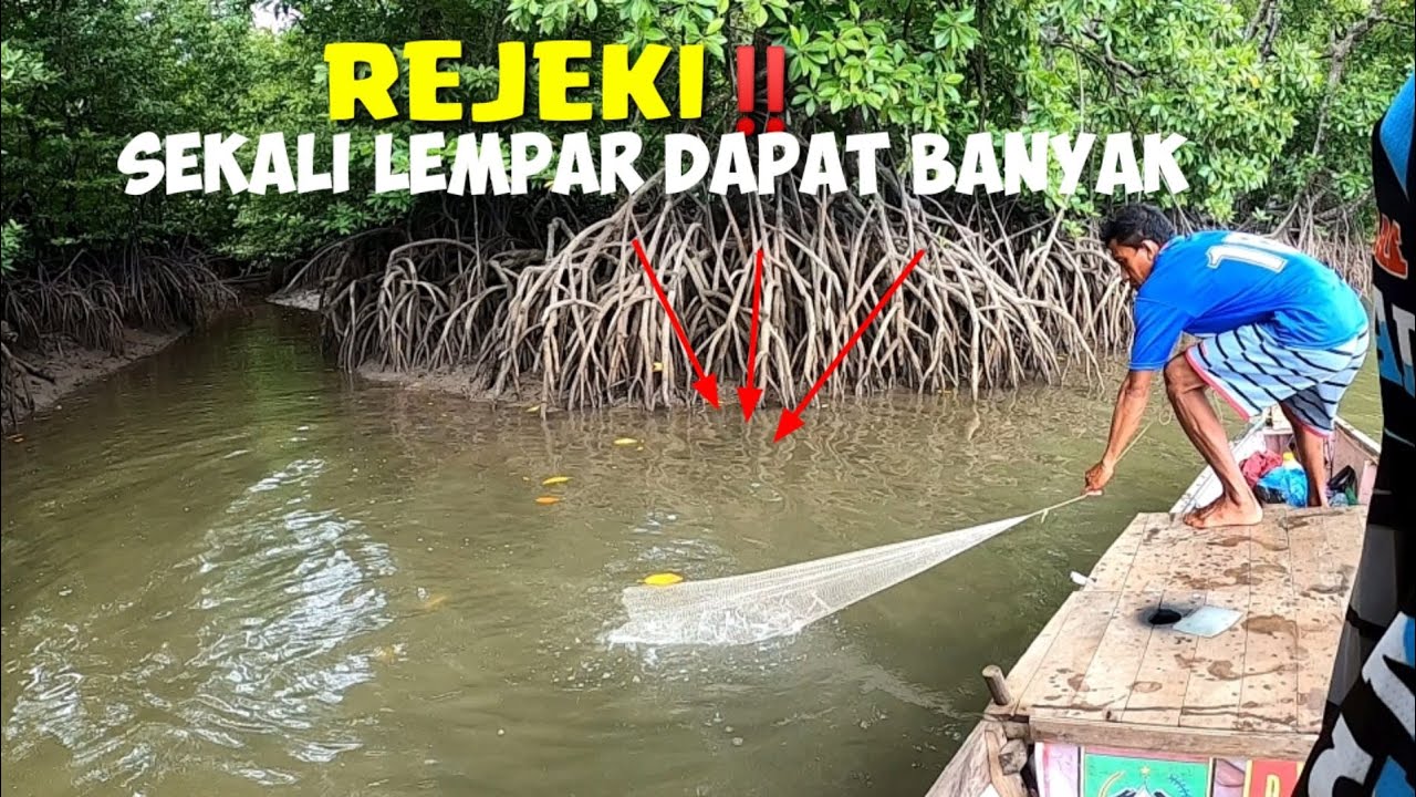 Jala Udang Di Muara Sungai Kecil Dapat Banyak