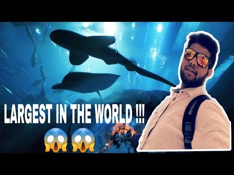 LARGEST IN THE WORLD | DUBAI AQUARIUM & UNDERWATER ZOO 😲😲