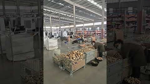 Evaporator Accessories | Distributors, Connectors & Refrigeration Parts | SINOAK