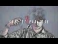 Nathan lms  suicide paradise