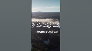 تلاوة من سورة فصلت بصوت الشيخ ادريس الهاشمي 🌹🌹