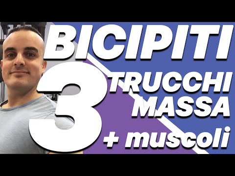Bicipiti e Braccia
