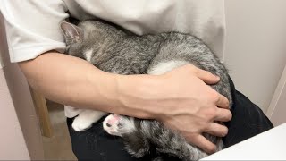 久しぶりの病院で採血されたら猫がこうなっちゃいました…