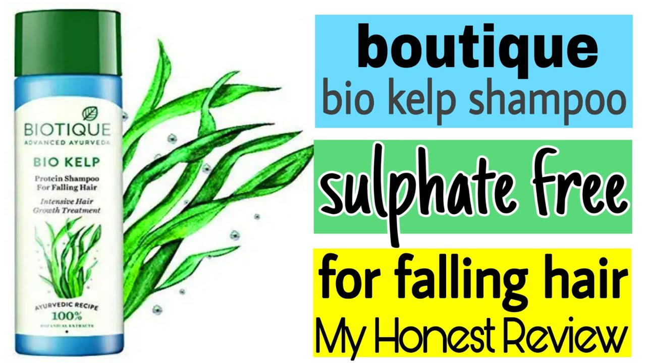 Biotique bio kelp protein shampoo review Biotique shampoo for hair Biotique bio kelp protein shampoo review Biotique shampoo for hair