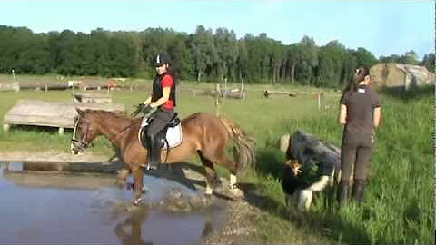 Esmee & Stephanie crossen