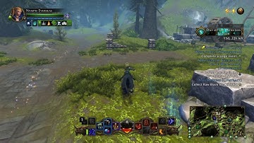 Neverwinter: How to Build a Guild Alone Extended Version