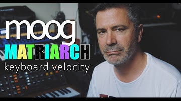 Moog Matriarch - Patching Keyboard Velocity