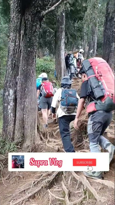Suasana Pendakian Gunung Prau Jalur Dieng | Jawa Tengah #shorts #pendaki #prau