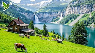 1 Hour of Calm Piano & Nature Sounds for Deep Sleep, Meditation, and Stress Relief🌿Serene Relaxation