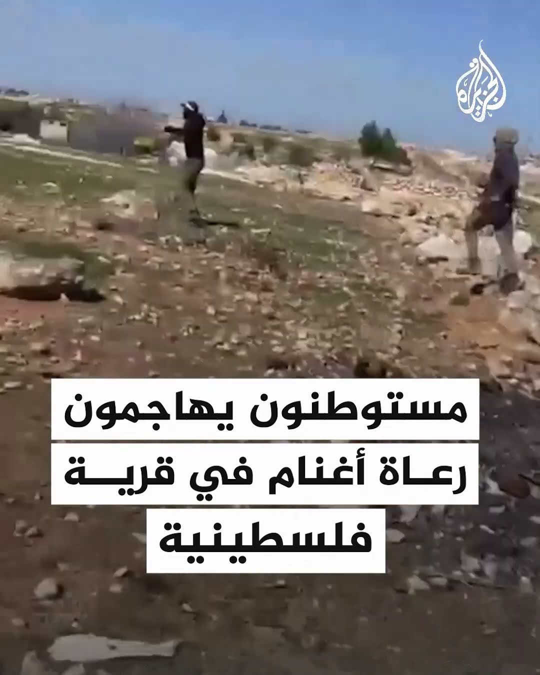 مستوطنون يهاجمون رعاة أغنام في قرية مسافر يطا جنوب الخليل
