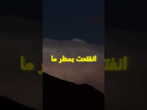 قصة النبي نوح الإيمان والصبر وسط الطوفان قصة قصيرة مشوقة مستوحاة من صحيح مسلم