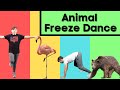 Animal freeze dance  follow along activities for kids