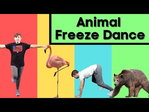Animal Freeze Dance, Kids Music, Songs For Kids, The Kiboomers, Esl