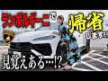 【会ったことある⁉️】ランボルギーニウルスSEで田舎に帰省！花火大会やディナーで酔いすぎてしまい…