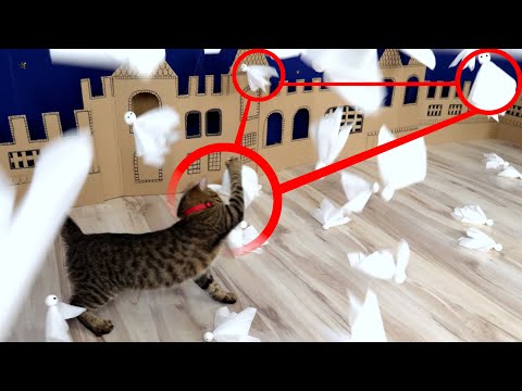 CAT ATTACK on ghost town in real life! 👻🐈