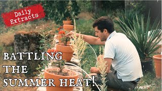 Battling the summer heat, and an important family project | Daily 16