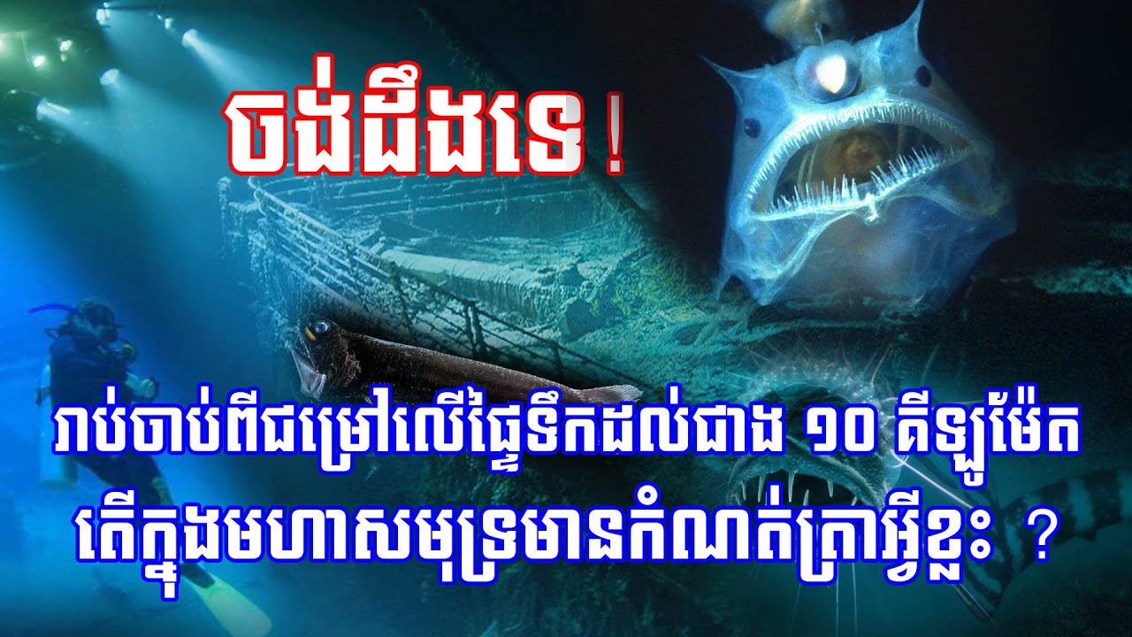 ចង់ដឹងទេ! រាប់ចាប់ពីជម្រៅលើផ្ទៃទឹកដល់ជាង ១០ គីឡូម៉ែត តើក្នុងមហាសមុទ្រមានកំណត់ត្រាអ្វីខ្លះ