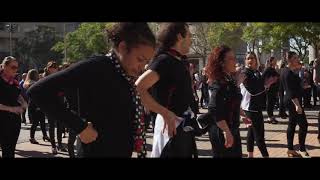 Flashmob en Elche, Alicante