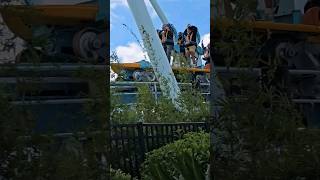 Pipeline the Surf Coaster by the park entrance at Seaworld Orlando