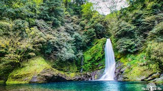 Relajación: Música Relajante para Aliviar El Estres y La Ansiedad, Música para Meditar y Dormir