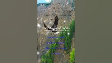 تلاوة خاشعة عطرة مباركة جميلة عذبة للشيخ فارس عباد ماتيسر من سورة الكهف