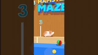 Virtual Hamster Maze Level 3 Game Play