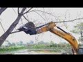 Hyundai excavator heavy tree fall down experience driver || JCB excavator video || excavator video.