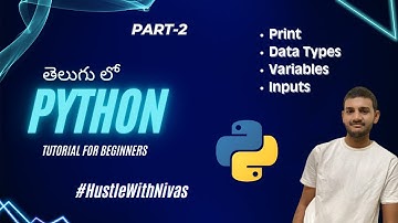 Python for Beginners Part 2 | Print, Data Types, Variables, and Inputs | HustleWIthNivas