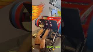 Legs Press