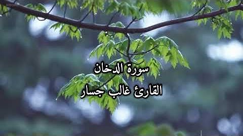 سورة الدخان كاملة القارئ غالب جسار #القرآن