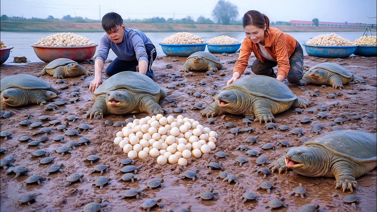 Harvesting Giant Swamp Creature Lurking Under Rotting Tree, Cooking Spicy Soup With Disabled Guy
