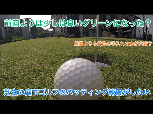自宅の庭に 天然芝のグリーン を作る方法 ホームセンターで売っている 細目砂 を使って理想のグリーンに近づけていく ゴルフの動画