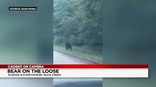 Furry creature caught on camera racing cars in Ashtabula County