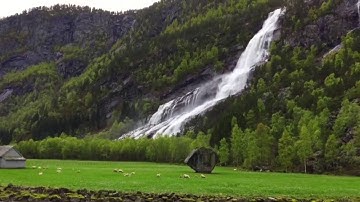 أو من كان ميتا فأحييناه) تلاوة  القارئ د. هاني بن غربي الشمري