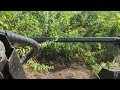 Clearing some Florida overgrowth