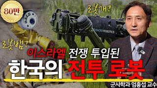 한국 병력 절벽! 전투 로봇이 대체? l 군사학과 엄홍섭 교수 l 혜윰달, 생각을 비추다 by 캐내네 스피치 410,983 views 1 month ago 11 minutes, 41 seconds