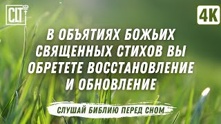 Нежное звучание Божьего Слова перед сном, подарит вам умиротворение | Библия перед сном | Relaxing