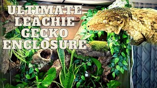 Ultimate Leachie  Gecko Enclosure