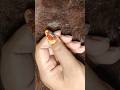 easy and simple nail art design/268