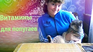 Витамины для попугаев Витамины для попугаев