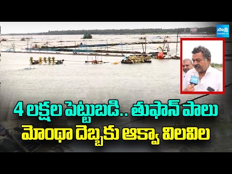 Huge Loss To Aqua Farmers Due To Cyclone Montha | West Godavari | @SakshiTV - SAKSHITV