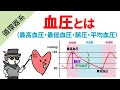 血圧の仕組み(最高血圧・最低血圧・脈圧・平均血圧)